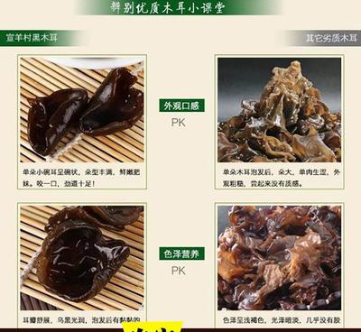 长白山头茬秋木耳 东北黑土地上的“黑色瑰宝”
